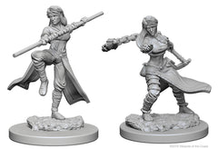 D&D NOLZUR'S MARVELOUS MINIATURES: FEMALE HUMAN MONK | Gamers Paradise