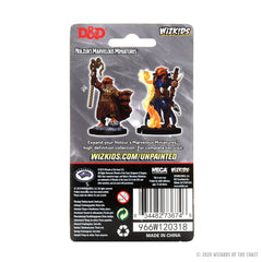 D&D NOLZUR'S MARVELOUS MINIATURES: FEMALE DRAGONBORN SORCERER | Gamers Paradise