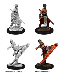 D&D NOLZUR'S MARVELOUS MINIATURES: MALE HALF-ELF MONK | Gamers Paradise
