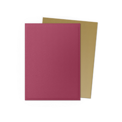 Dragon Shield: Standard 100ct pomegranate (Dual Matte) | Gamers Paradise