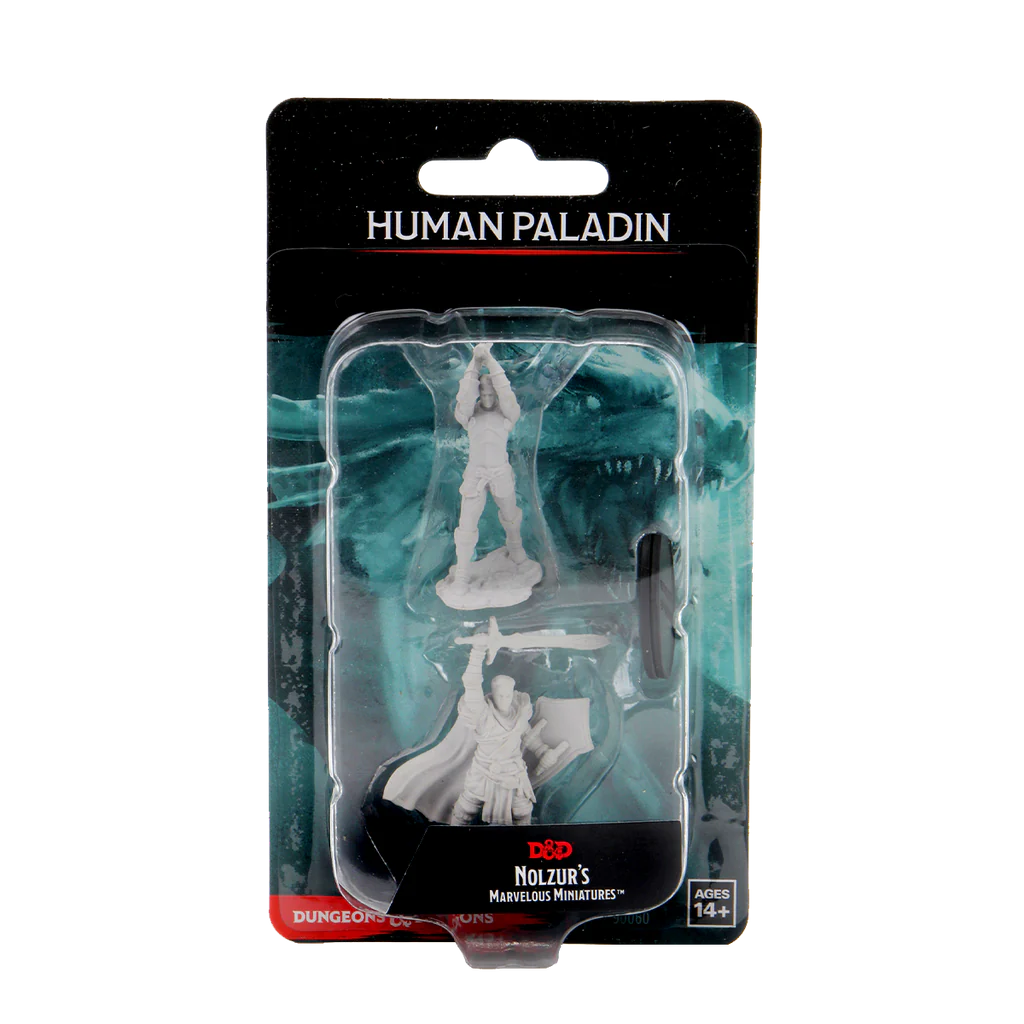 D&D Nolzur's Marvelous Miniatures - Male Human Paladin | Gamers Paradise