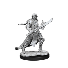 PATHFINDER BATTLES DEEP CUTS - MALE ELF MAGUS (MAGIC USER) | Gamers Paradise