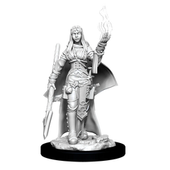 PATHFINDER BATTLES DEEP CUTS: FEMALE HUMAN ORACLE | Gamers Paradise