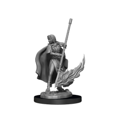 PATHFINDER BATTLES DEEP CUTS: FEMALE HUMAN ORACLE | Gamers Paradise