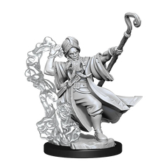 D&D FRAMEWORKS: HUMAN WIZARD MALE - UNPAINTED AND UNASSEMBLED | Gamers Paradise