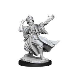 D&D FRAMEWORKS: HUMAN WIZARD MALE - UNPAINTED AND UNASSEMBLED | Gamers Paradise