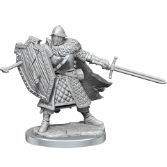 D&D FRAMEWORKS: HUMAN FIGHTER MALE - UNPAINTED AND UNASSEMBLED | Gamers Paradise