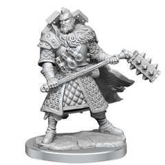 D&D FRAMEWORKS: HUMAN FIGHTER MALE - UNPAINTED AND UNASSEMBLED | Gamers Paradise