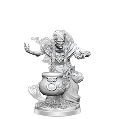 D&D FRAMEWORKS: NIGHT HAG - UNPAINTED AND UNASSEMBLED | Gamers Paradise