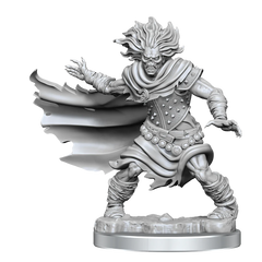 D&D FRAMEWORKS: WIGHT - UNPAINTED AND UNASSEMBLED | Gamers Paradise