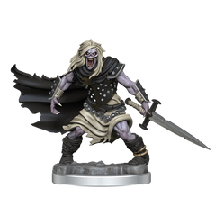 D&D FRAMEWORKS: WIGHT - UNPAINTED AND UNASSEMBLED | Gamers Paradise
