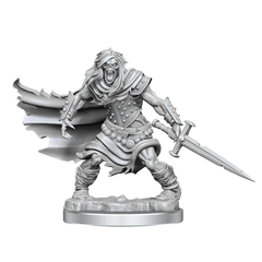 D&D FRAMEWORKS: WIGHT - UNPAINTED AND UNASSEMBLED | Gamers Paradise