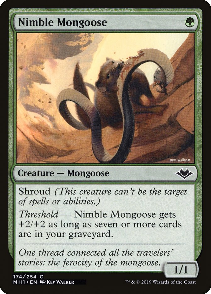 Nimble Mongoose [Modern Horizons] | Gamers Paradise