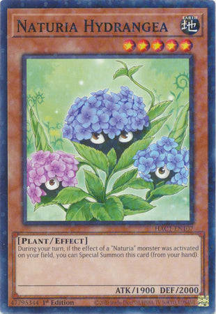 Naturia Hydrangea (Duel Terminal) [HAC1-EN107] Common | Gamers Paradise