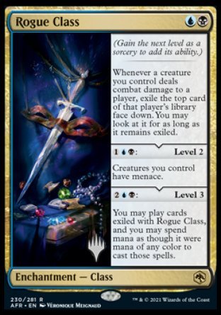 Rogue Class (Promo Pack) [Dungeons & Dragons: Adventures in the Forgotten Realms Promos] | Gamers Paradise