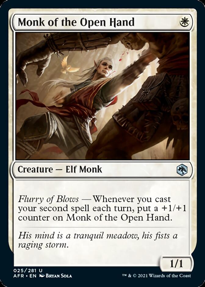 Monk of the Open Hand [Dungeons & Dragons: Adventures in the Forgotten Realms] | Gamers Paradise