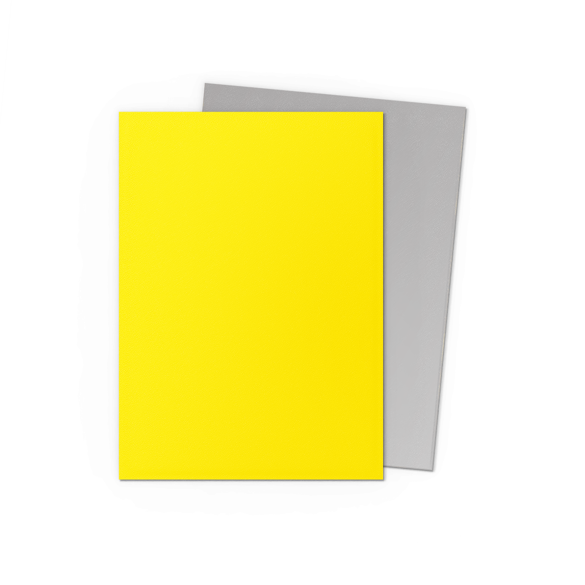 Dragon Shield: Standard 100ct Sleeves - Yellow & Silver (Dual Matte) | Gamers Paradise