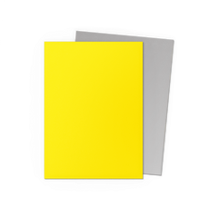 Dragon Shield: Standard 100ct Sleeves - Yellow & Silver (Dual Matte) | Gamers Paradise
