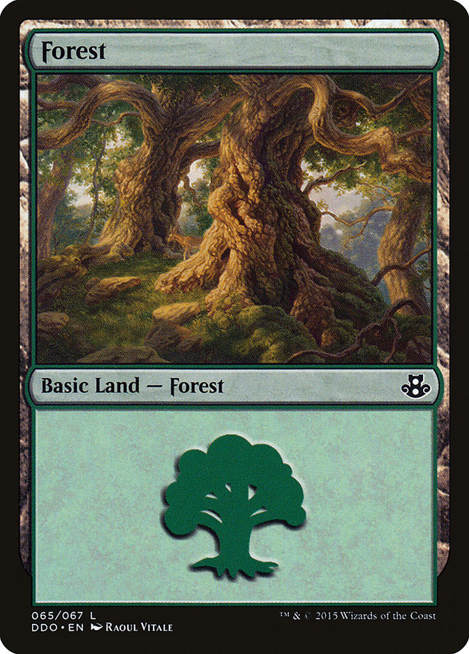 Forest (65) [Duel Decks: Elspeth vs. Kiora] | Gamers Paradise