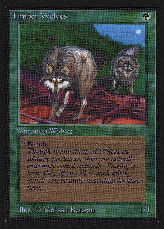 Timber Wolves [International Collectors' Edition] | Gamers Paradise