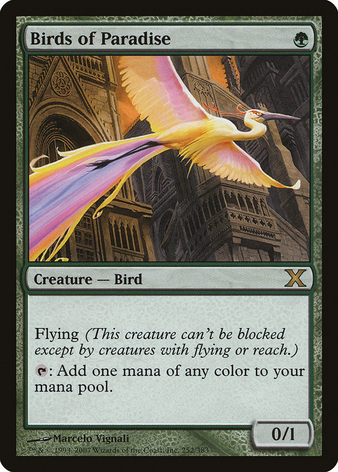 Birds of Paradise [Tenth Edition] | Gamers Paradise