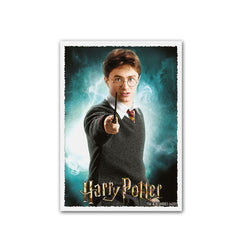 Dragon Shield: Standard 100ct Art Sleeves - Wizarding World (Harry Potter) | Gamers Paradise