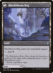 Blackbloom Rogue // Blackbloom Bog [Zendikar Rising] | Gamers Paradise