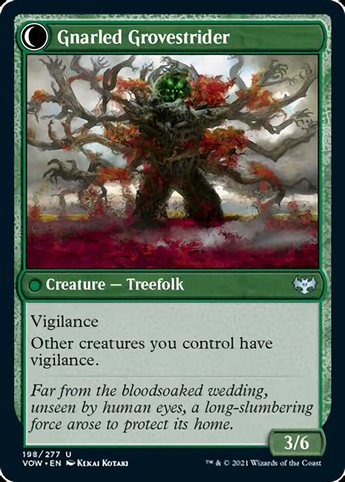 Dormant Grove // Gnarled Grovestrider [Innistrad: Crimson Vow] | Gamers Paradise