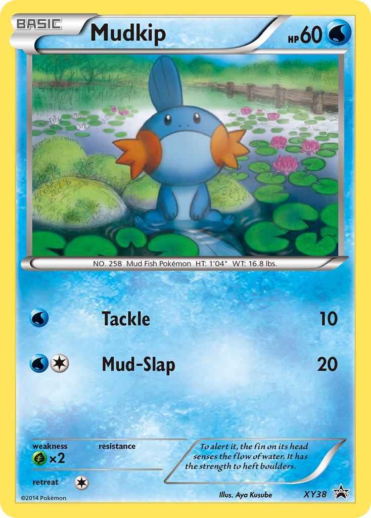 Mudkip (XY38) [XY: Black Star Promos] | Gamers Paradise