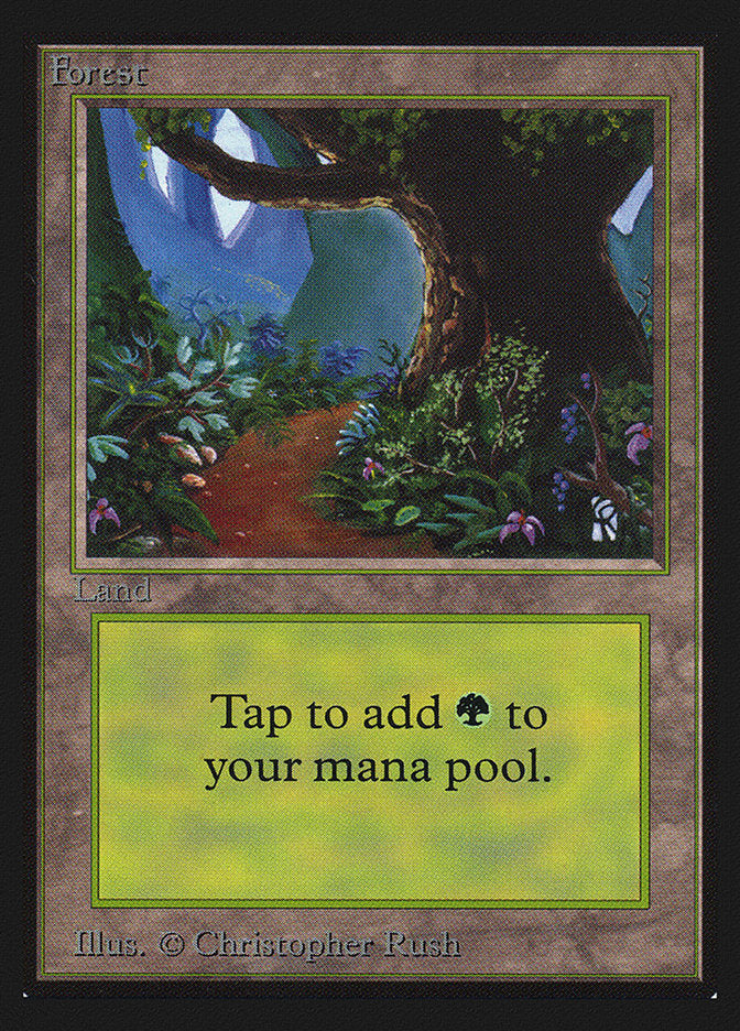 Forest (Flower Path) [Collectors' Edition] | Gamers Paradise