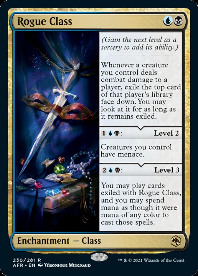 Rogue Class [Dungeons & Dragons: Adventures in the Forgotten Realms] | Gamers Paradise