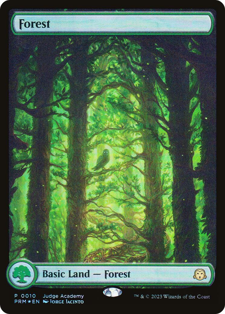 Forest [Judge Gift Cards 2023] | Gamers Paradise