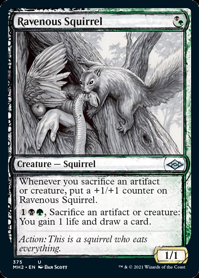 Ravenous Squirrel (Sketch) [Modern Horizons 2] | Gamers Paradise