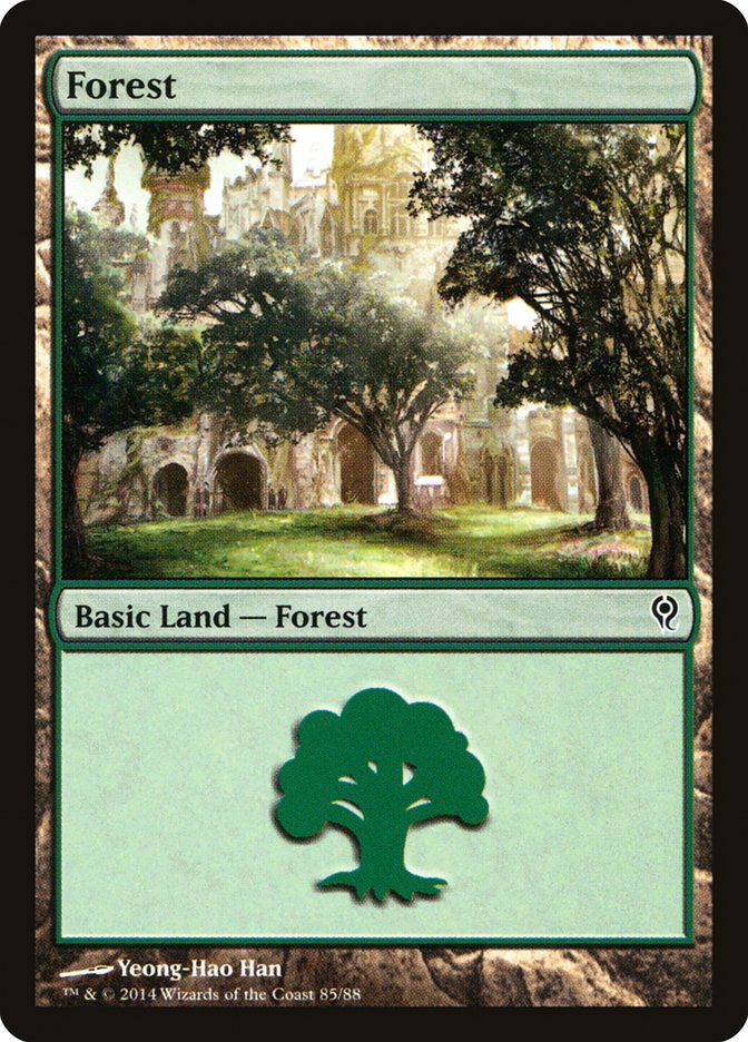 Forest (85) [Duel Decks: Jace vs. Vraska] | Gamers Paradise