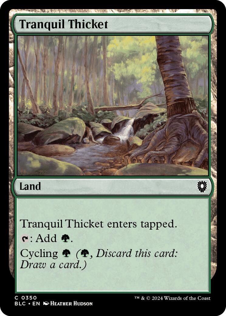 Tranquil Thicket [Bloomburrow Commander] | Gamers Paradise