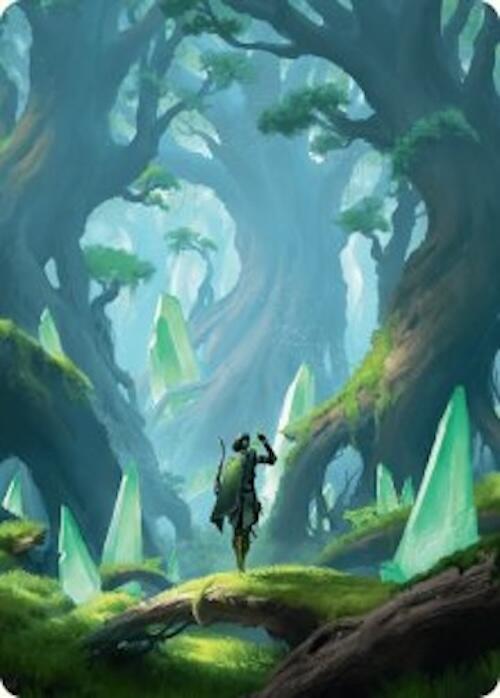 Forest Art Card (25/54) [Foundations Art Series] | Gamers Paradise