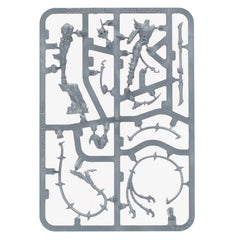 Daughters of Khaine Regiment of Renown: The Crimson Lash - Age of Sigmar (PREORDER) | Gamers Paradise