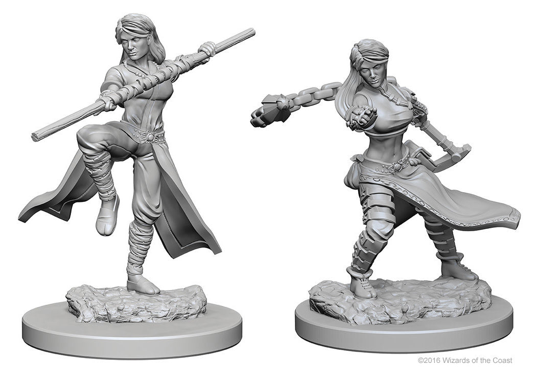 D&D NOLZUR'S MARVELOUS MINIATURES: FEMALE HUMAN MONK | Gamers Paradise