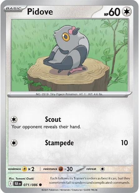 Pidove (071/086) [Scarlet & Violet: Black Bolt] | Gamers Paradise