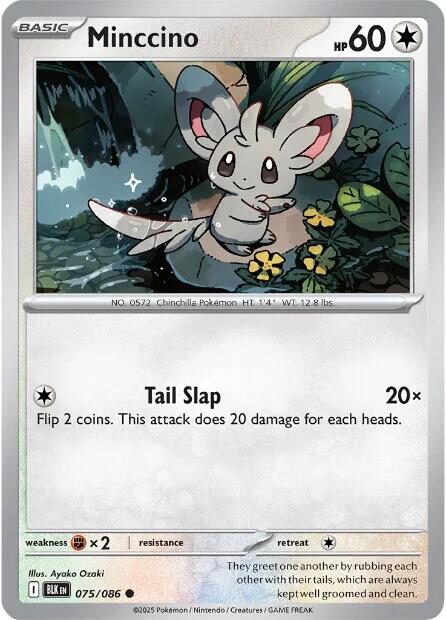 Minccino (075/086) [Scarlet & Violet: Black Bolt] | Gamers Paradise