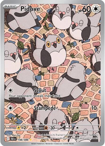 Pidove (148/086) [Scarlet & Violet: Black Bolt] | Gamers Paradise
