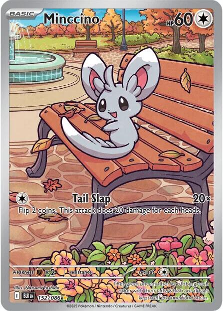 Minccino (152/086) [Scarlet & Violet: Black Bolt] | Gamers Paradise