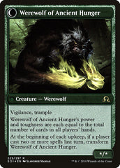 Sage of Ancient Lore // Werewolf of Ancient Hunger [Shadows over Innistrad Prerelease Promos] | Gamers Paradise
