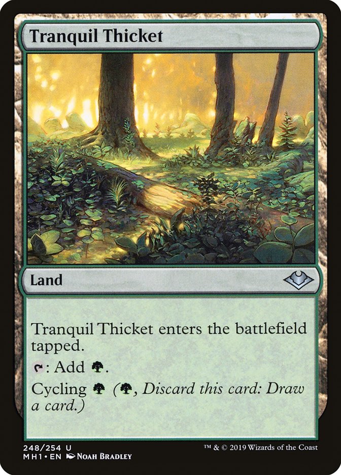 Tranquil Thicket [Modern Horizons] | Gamers Paradise