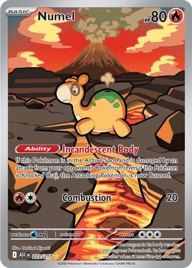 Numel (223/217) [Mega Evolution: Ascended Heroes] | Gamers Paradise