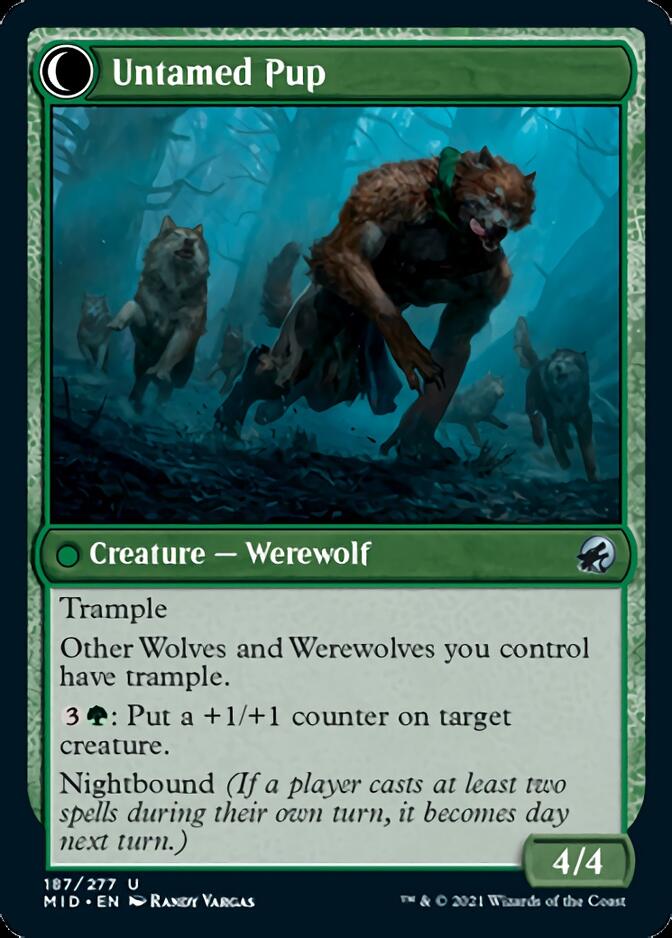 Hound Tamer // Untamed Pup [Innistrad: Midnight Hunt] | Gamers Paradise