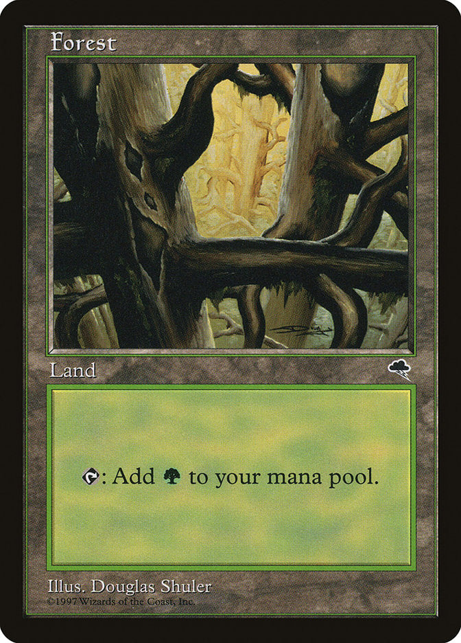 Forest (Black Signature) [Tempest] | Gamers Paradise