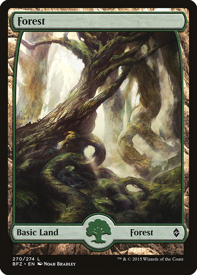 Forest (270) (Full Art) [Battle for Zendikar] | Gamers Paradise
