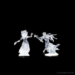 D&D NOLZUR'S MARVELOUS MINIATURES: WRAITH & SPECTER | Gamers Paradise