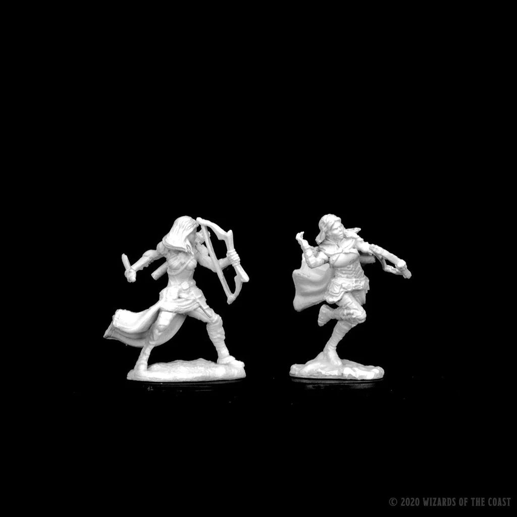 D&D NOLZUR'S MARVELOUS MINIATURES: AIR GENASI FEMALE ROGUE | Gamers Paradise